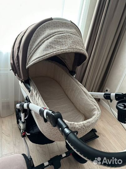 Коляска 2 в 1 Adamex Gloria