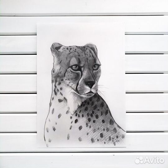 Картина графическая зарисовка гепард 30х40