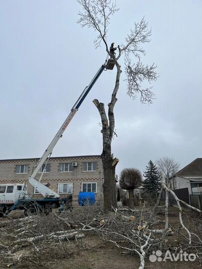 Аренда услуги автовышки