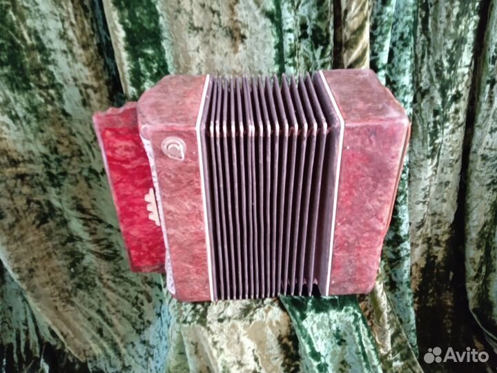 Гармонь любительская