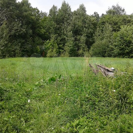 Дом 50 м² на участке 40 сот.