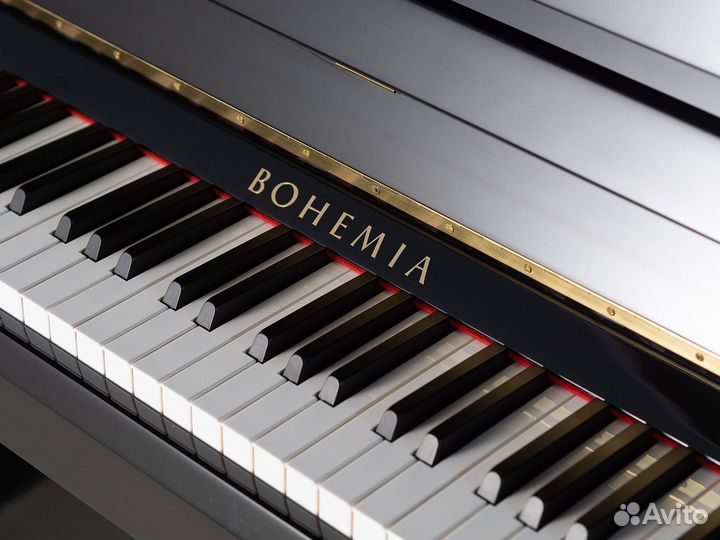 Пианино Bohemia мод. R126 (BU) черное