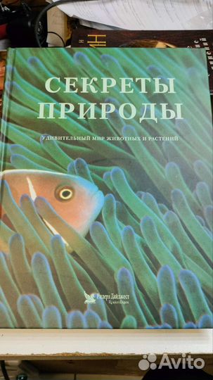 Сказки народов мира