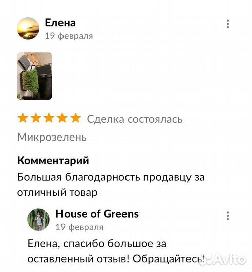 Микрозелень брокколи