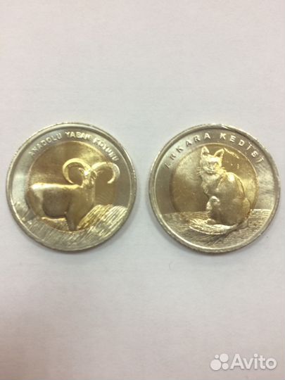 Красная книга (турция)