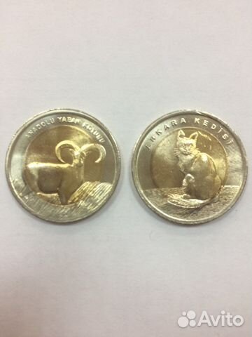 Красная книга (турция)