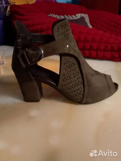 Сапоги женские