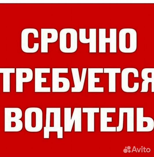 Водитель в компанию