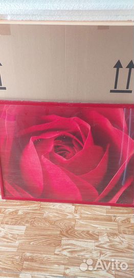 Картина роза