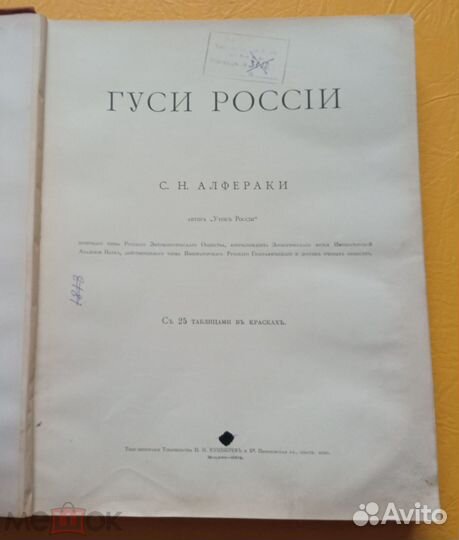 Алфераки С.Н. Гуси России. 1904