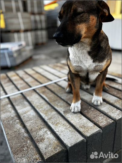 Тротуарная плитка вибропрессованная