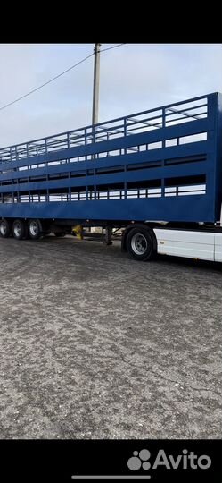 Полуприцеп для перевозки скота Pezzaioli SBA63, 2001