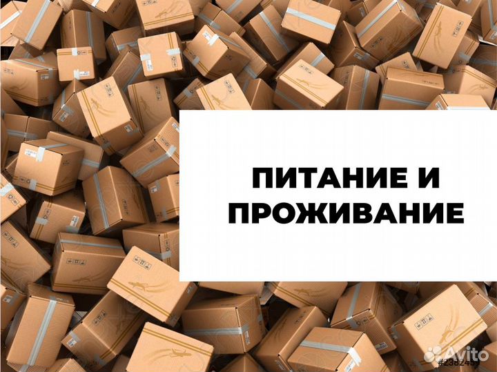 Вахта с проживанием и питанием