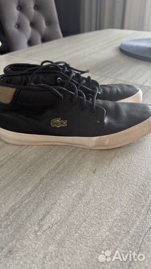 Lacoste кеды мужские