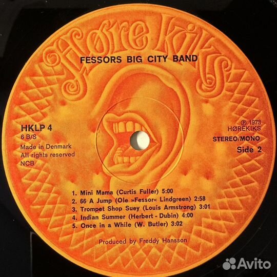 Fessors Big City Band – 73 (Дания 1973г.)