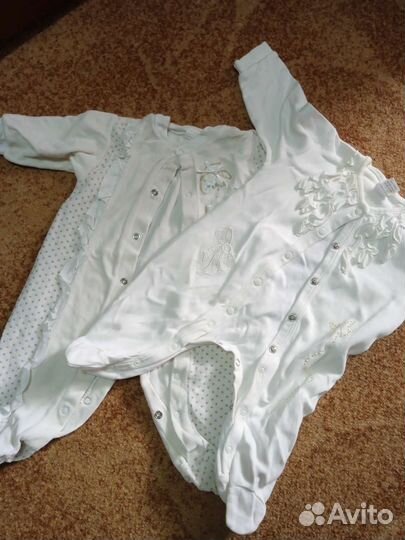 Боди