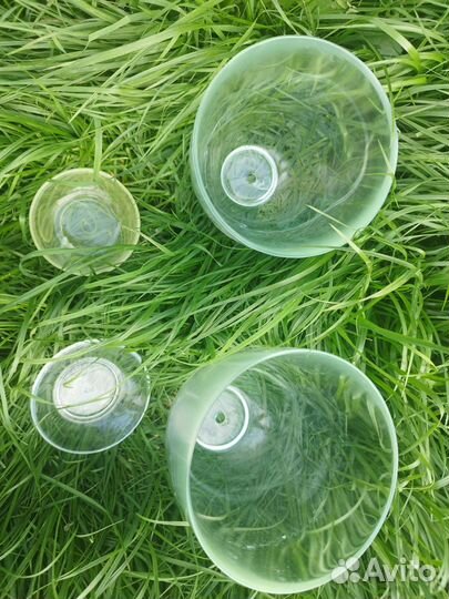 Горшки кашпо стеклянные для орхидей