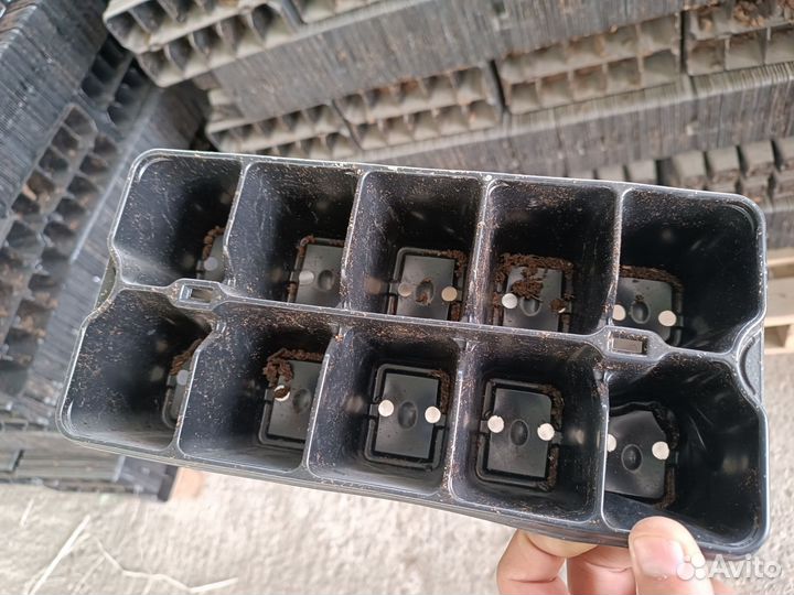 Кассеты для рассады бу