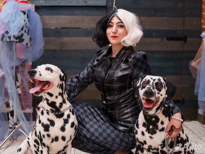 Аниматоры, Квесты, Праздники в Омске и области