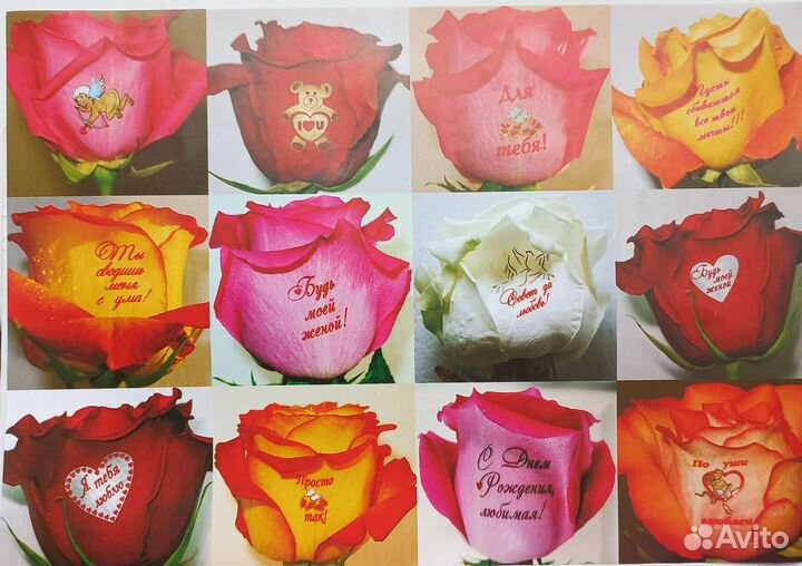 Наклейки на цветы флористические