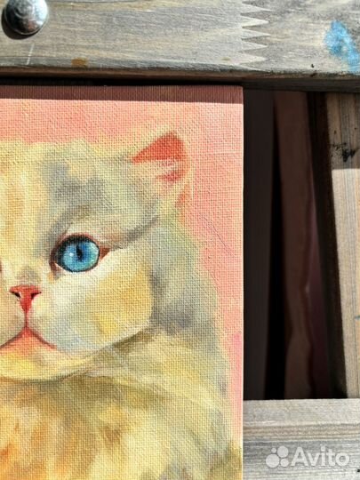 Белый, пушистый котик. Картина маслом