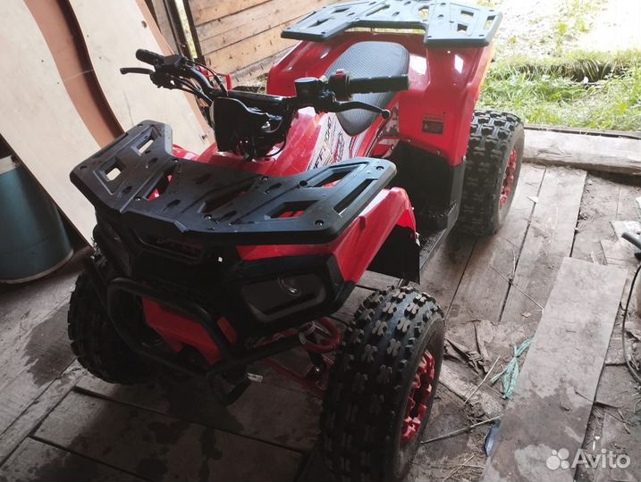 Wells Trails Thunder