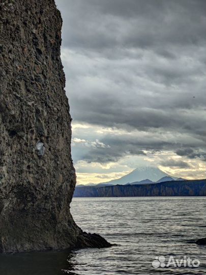 Аренда внедорожника с водителем, джип туры