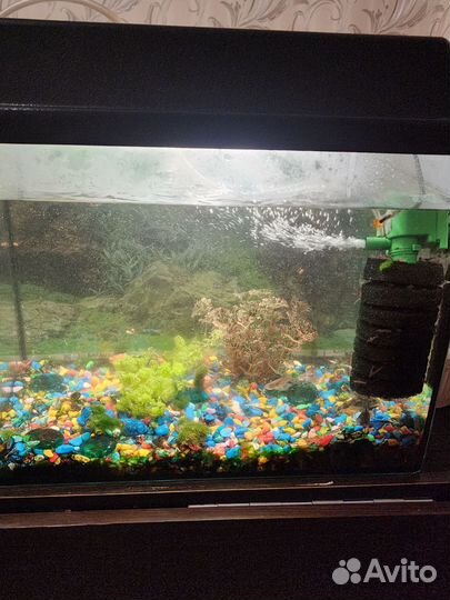Аквариум с рыбками