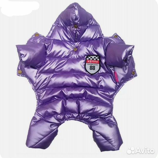 Зимний комбинезон на чихуахуа