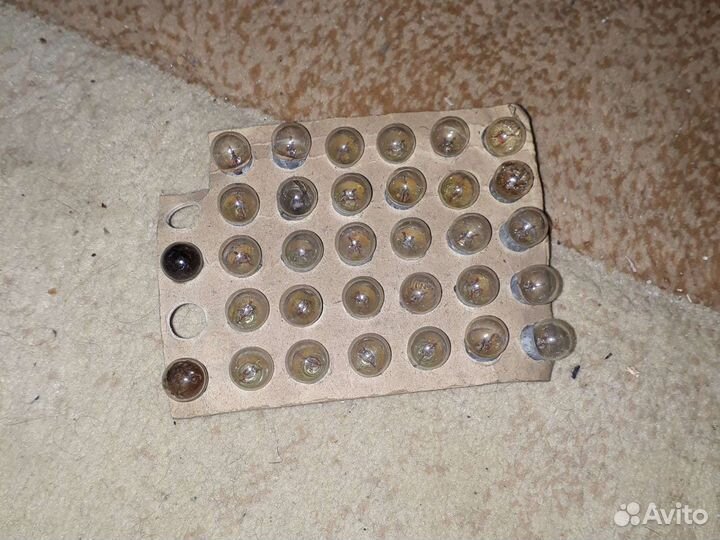 Лампа накаливания 24V 1.2W B8.5D 30 штук StartVolt