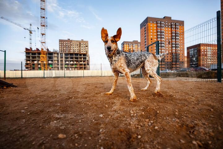 2-к. квартира, 56,1 м², 1/18 эт.