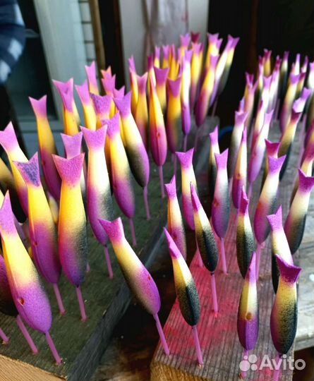 Поролоновые рыбки