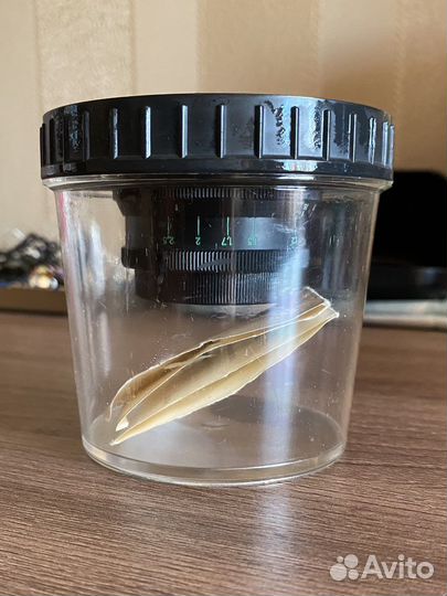 Объектив индустар