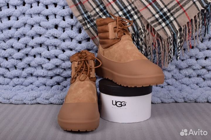 UGG оригинал