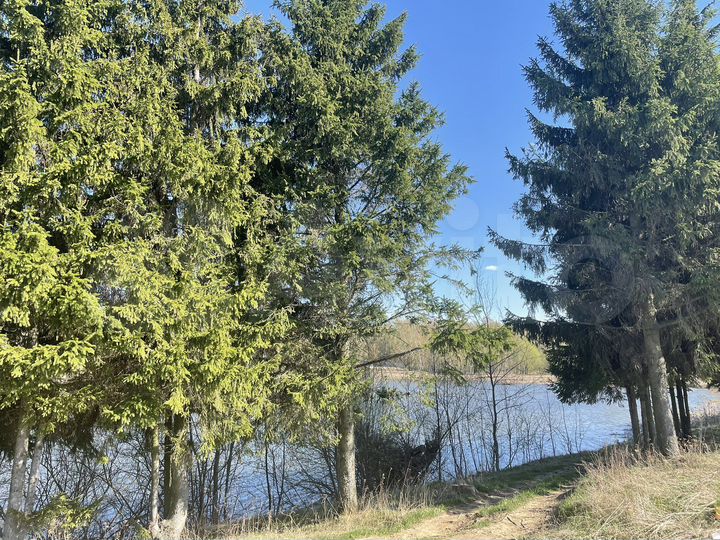 Участок 6 сот. (ИЖС)