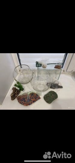 Аквариум, камешки, сачок, корм для рыб