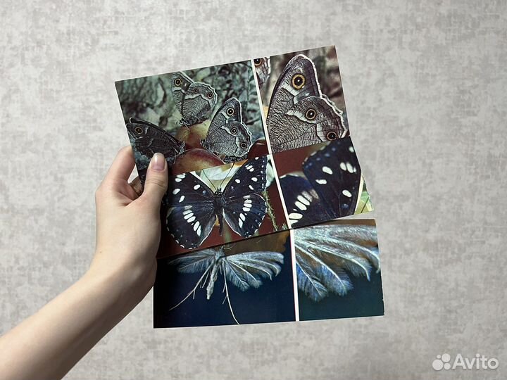 Набор открыток СССР Бабочки 1976г