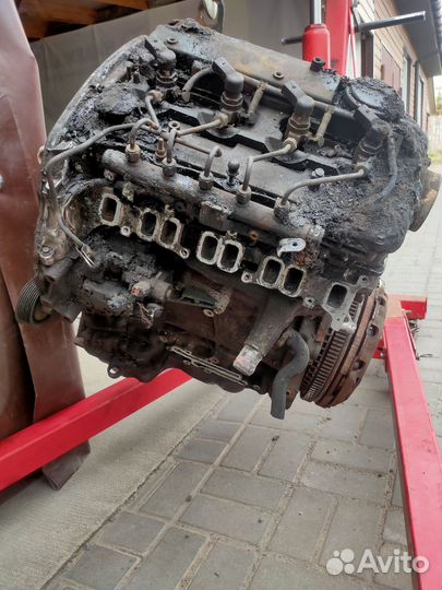 Мотор ford transit 2.2 задний привод