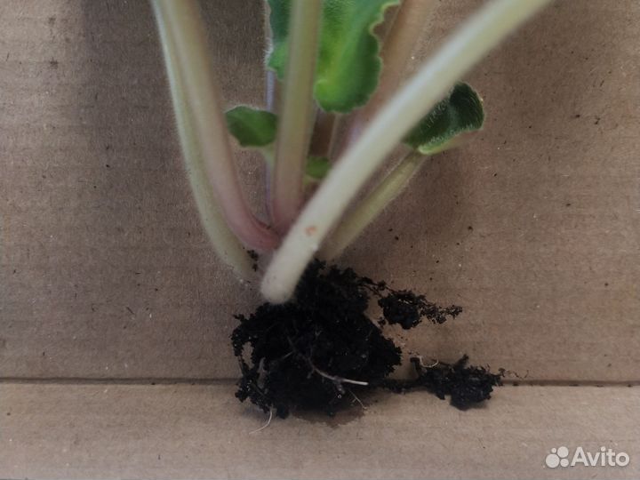 Форма для льда ананас