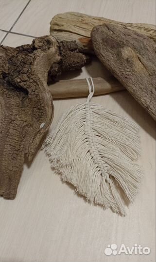 Коряги, дрифтвуд