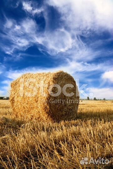 Солома в рулонах и мешками