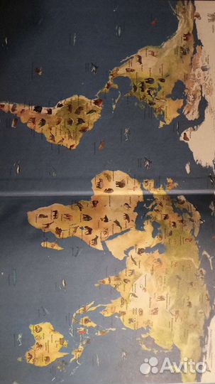 Атлас животных для детей