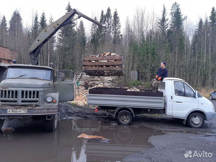 Дрова берёзовые