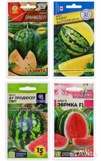 Семена арбуза