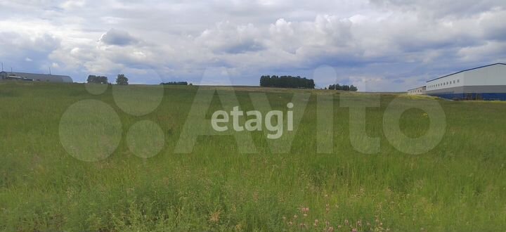 Участок 100 сот. (СНТ, ДНП)