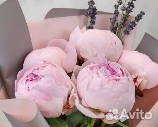 Букет из 5 розовых пионов (Premium)