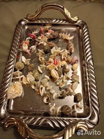 Ракушки для творчества