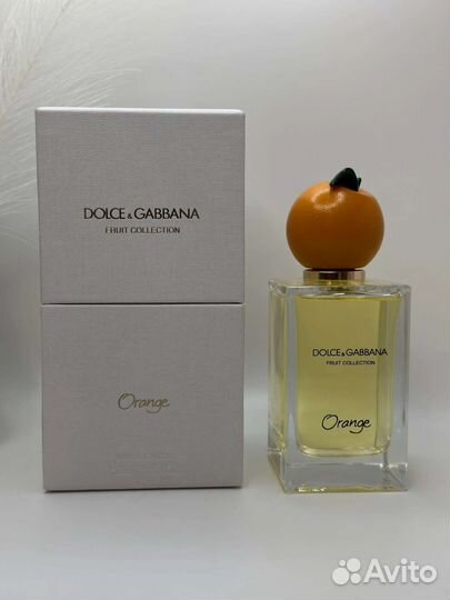 Dolce & Gabbana Orange