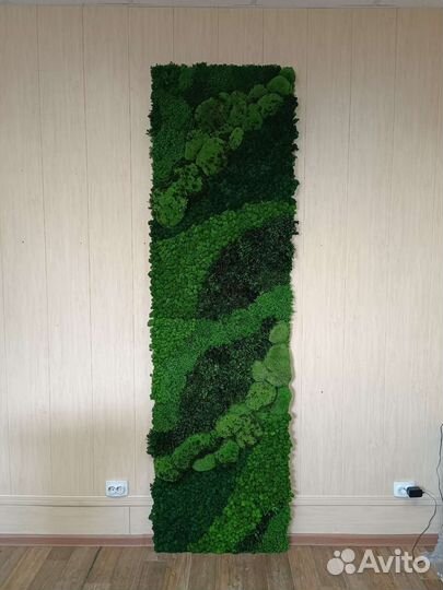 Панели из мха по вашим размерам от производителя