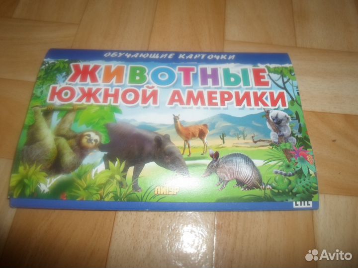 Карточки новые